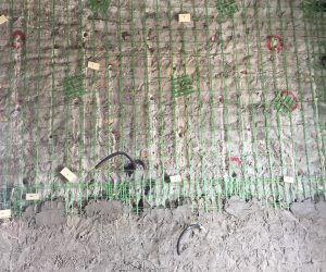 28660898_1592725147513684_2793831335049822208_n